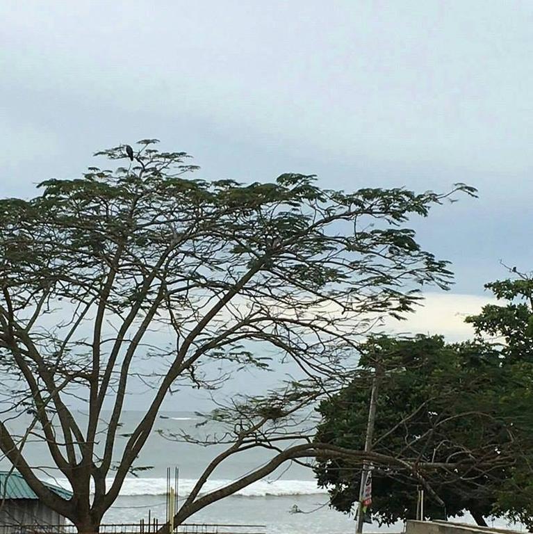 Gold Coast Resort Weligama Kültér fotó